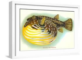 Hawaiian Fish, Oopuhue-null-Framed Art Print