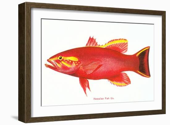 Hawaiian Fish, Uu-null-Framed Art Print