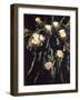 Hawaiian Flora: Night Blooming Cereus-Eliot Elisofon-Framed Photographic Print