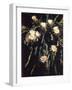 Hawaiian Flora: Night Blooming Cereus-Eliot Elisofon-Framed Photographic Print