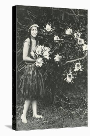Hawaiian Girl with Large Epiphyllum Flowers-null-Stretched Canvas