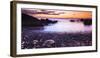 Hawaiian Green Sea Turtles on a Lava Beach at Sunset, Kohala Coast, the Big Island, Hawaii-Russ Bishop-Framed Photographic Print