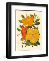 Hawaiian Hibiscus - Honolulu, Hawaii USA-Dorothy Falcon Platt-Framed Art Print