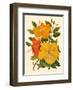 Hawaiian Hibiscus - Honolulu, Hawaii USA-Dorothy Falcon Platt-Framed Art Print