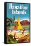 Hawaiian Islands Poster-null-Framed Stretched Canvas