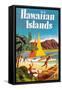 Hawaiian Islands Poster-null-Framed Stretched Canvas