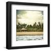 Hawaiian Memories IV-null-Framed Art Print