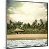 Hawaiian Memories IV-null-Mounted Art Print