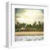 Hawaiian Memories IV-null-Framed Art Print