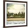 Hawaiian Memories IV-null-Framed Art Print