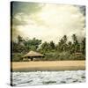 Hawaiian Memories IV-null-Stretched Canvas