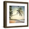 Hawaiian Memories VI-null-Framed Art Print