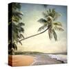 Hawaiian Memories VI-null-Stretched Canvas