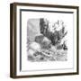 Hawaiian Men Surfing Using Wooden Boards, C1895-null-Framed Giclee Print