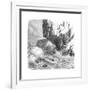 Hawaiian Men Surfing Using Wooden Boards, C1895-null-Framed Giclee Print