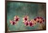 Hawaiian Orchid-pdb1-Framed Art Print