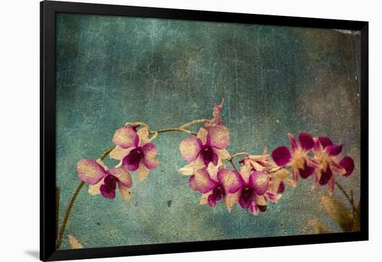 Hawaiian Orchid-pdb1-Framed Art Print