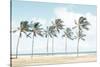 Hawaiian Palm Trees-Elena Chukhlebova-Stretched Canvas