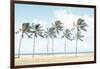 Hawaiian Palm Trees-Elena Chukhlebova-Framed Photographic Print