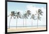 Hawaiian Palm Trees-Elena Chukhlebova-Framed Photographic Print