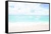 Hawaiian Paradise-Elena Chukhlebova-Framed Stretched Canvas