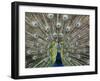 Hawaiian Peacock-Jim Collins-Framed Premium Photographic Print