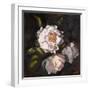 Hawaiian Peonies-Jeri Ireland-Framed Art Print