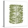 Hawaiian Pine-Trish Sierer-Stretched Canvas