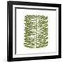 Hawaiian Pine-Trish Sierer-Framed Art Print