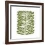 Hawaiian Pine-Trish Sierer-Framed Art Print