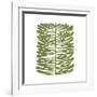 Hawaiian Pine-Trish Sierer-Framed Art Print