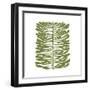 Hawaiian Pine-Trish Sierer-Framed Art Print