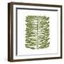 Hawaiian Pine-Trish Sierer-Framed Art Print