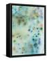 Hawaiian Rain IV-Jodi Fuchs-Framed Stretched Canvas