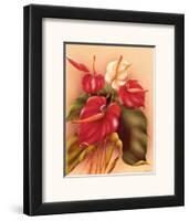 Hawaiian Red and White Anthuriums c.1940s-Frank Oda-Framed Art Print