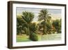 Hawaiian Scene, Poem-null-Framed Art Print