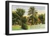 Hawaiian Scene, Poem-null-Framed Art Print