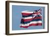 Hawaiian State Flag, Oahu, Hawaii-Michael DeFreitas-Framed Photographic Print