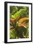 Hawaiian Tropical Botanical Gardens, near Hilo, Big Island, Hawaii, USA-Stuart Westmorland-Framed Photographic Print