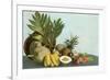 Hawaiian Tropical Fruits-null-Framed Premium Giclee Print