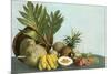 Hawaiian Tropical Fruits-null-Mounted Premium Giclee Print