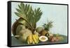 Hawaiian Tropical Fruits-null-Framed Stretched Canvas