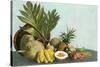 Hawaiian Tropical Fruits-null-Stretched Canvas