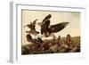 Hawk and Bobwhites-John James Audubon-Framed Giclee Print