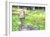 Hawk and Fence-Robert Goldwitz-Framed Photographic Print