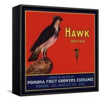 Hawk Brand - Pomona, California - Citrus Crate Label-Lantern Press-Framed Stretched Canvas