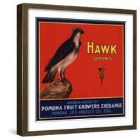 Hawk Brand - Pomona, California - Citrus Crate Label-Lantern Press-Framed Art Print