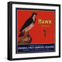 Hawk Brand - Pomona, California - Citrus Crate Label-Lantern Press-Framed Art Print