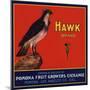 Hawk Brand - Pomona, California - Citrus Crate Label-Lantern Press-Mounted Art Print