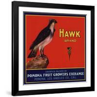 Hawk Brand - Pomona, California - Citrus Crate Label-Lantern Press-Framed Art Print